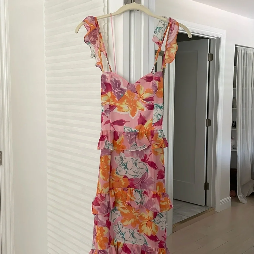 Sunset and Spring - Picture 3 of 3